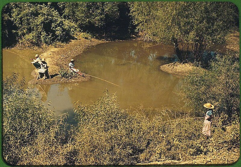 People fishing by a river
