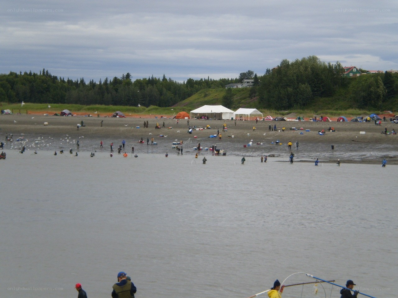 People fishing on a beach