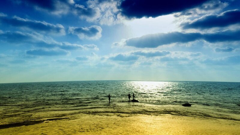 People Fishing on Beach