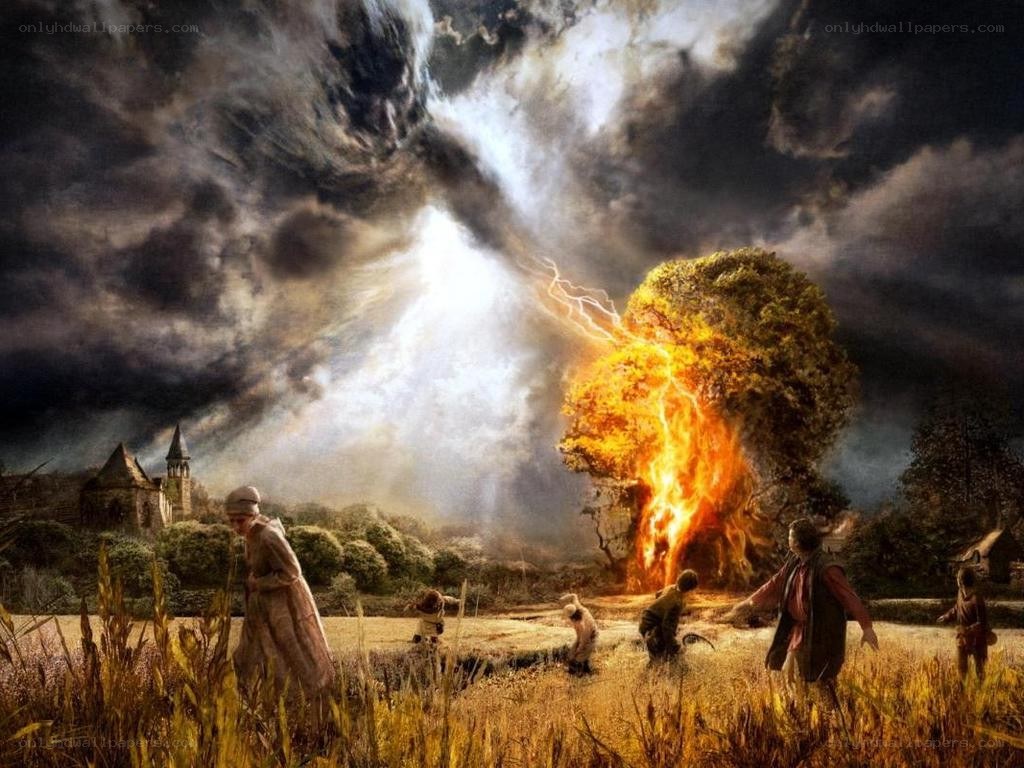 People flee burning tree