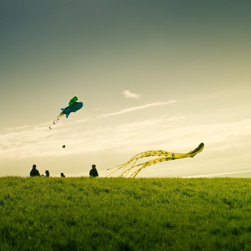 People Flying Kites — Green, Serene