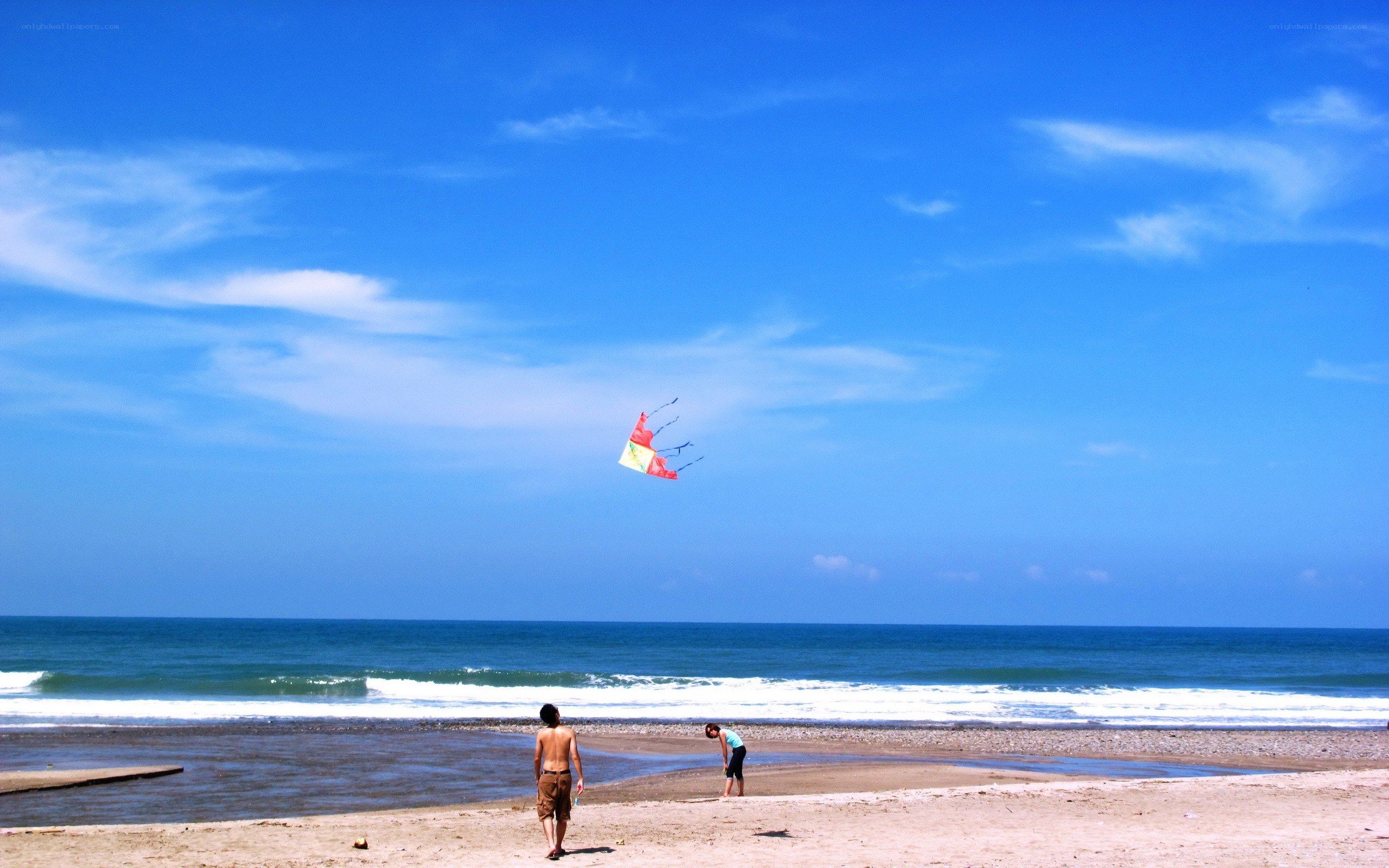People flying kites on a beach