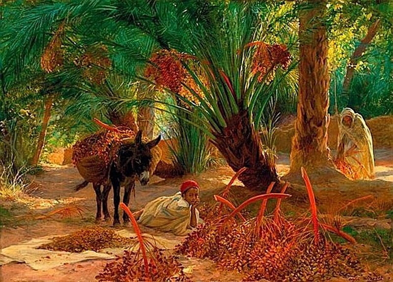 People Harvesting Dates