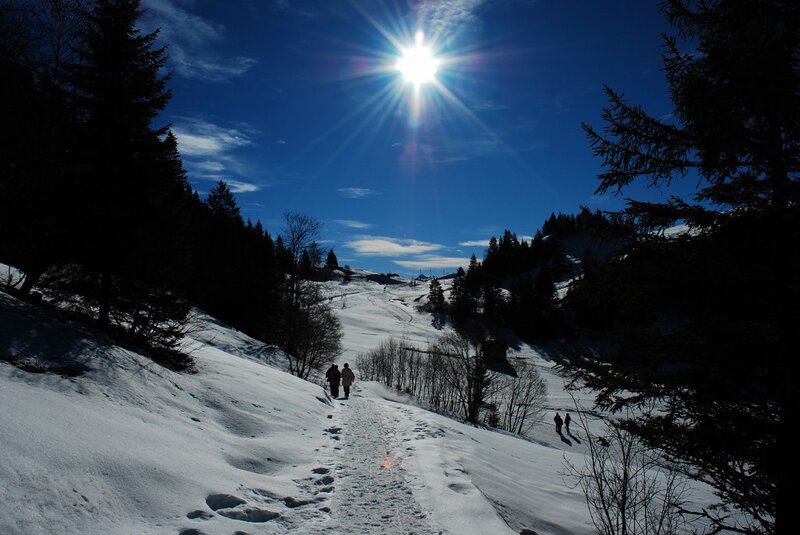 People Hiking in Snow