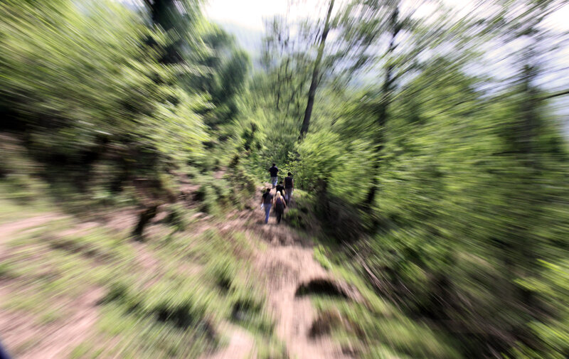 People Hiking on Trail