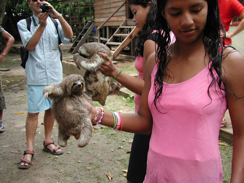 People holding sloths at a sanctuary