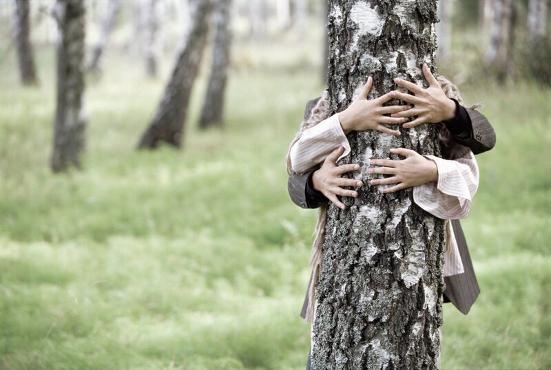 people hugging a tree