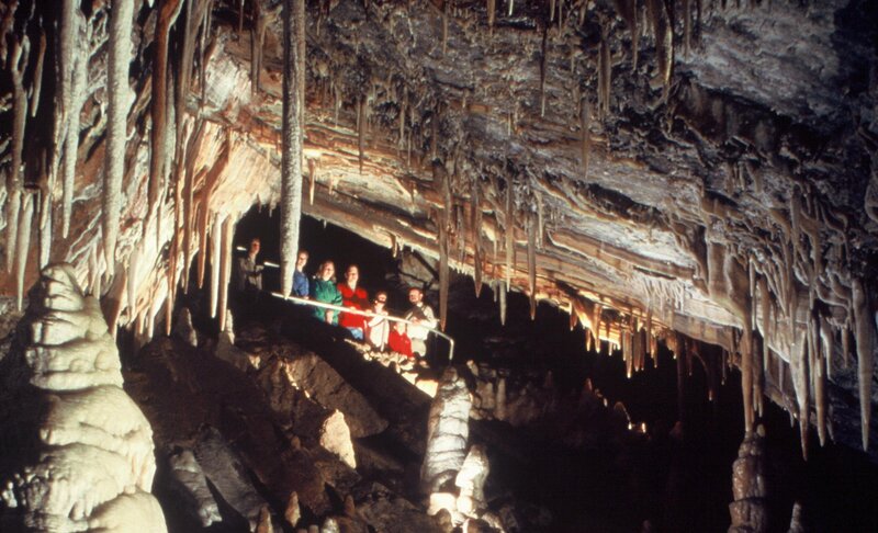 People in a Cave — Brown