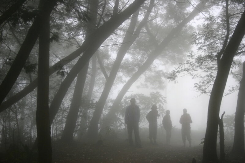 People in a foggy forest