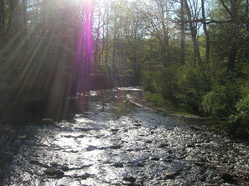 People in a Forest Stream