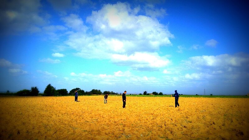 People in a golden field