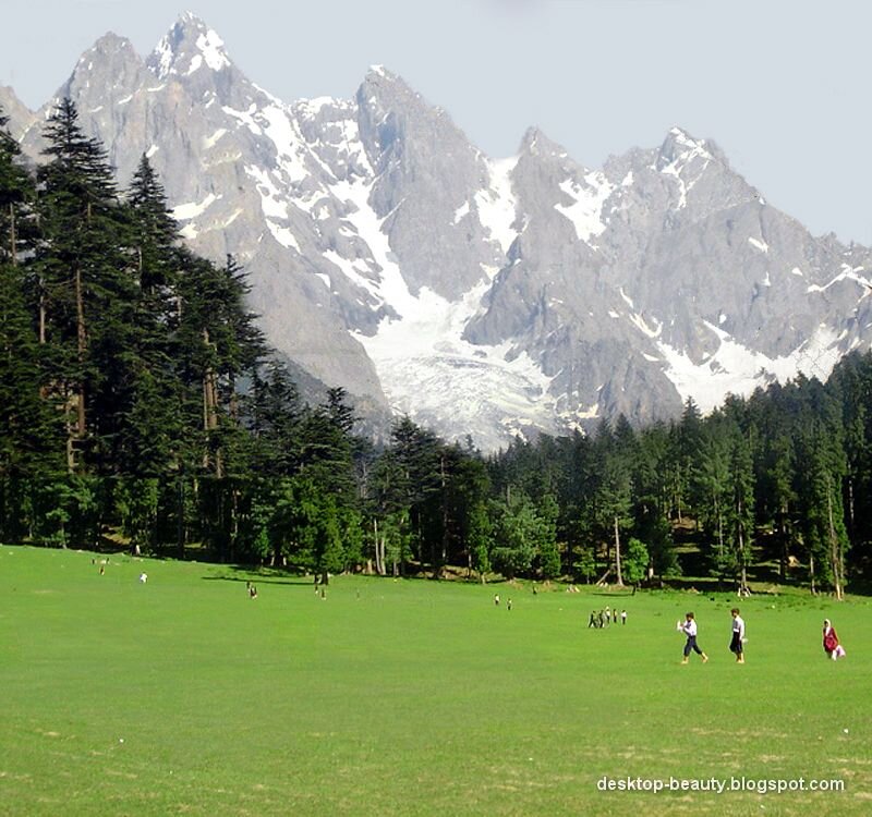 People in a Mountain Field