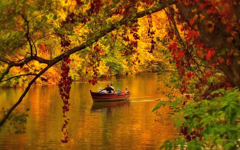 People in a Rowboat — Gold
