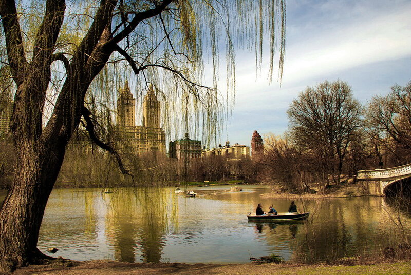 People in a Rowboat — Green, Serene, Spring