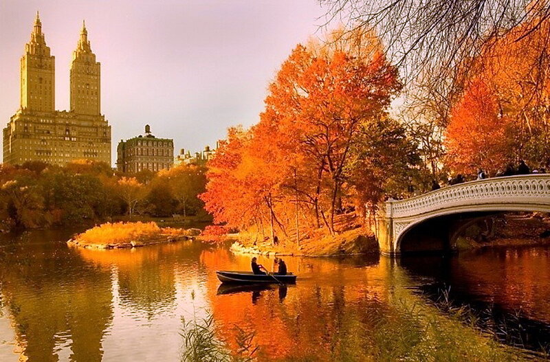 People in a Rowboat — Orange