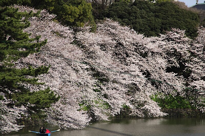 People in a Rowboat — White