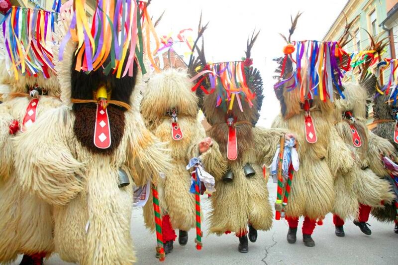 People in Animal Costumes