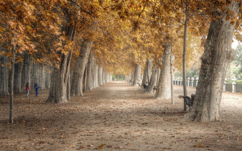 People in Autumn Park — Brown