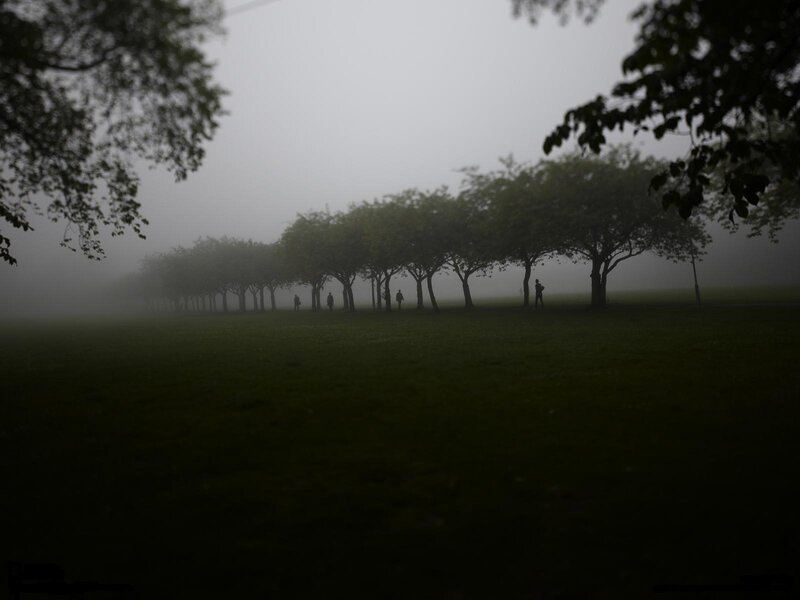 People in Foggy Park