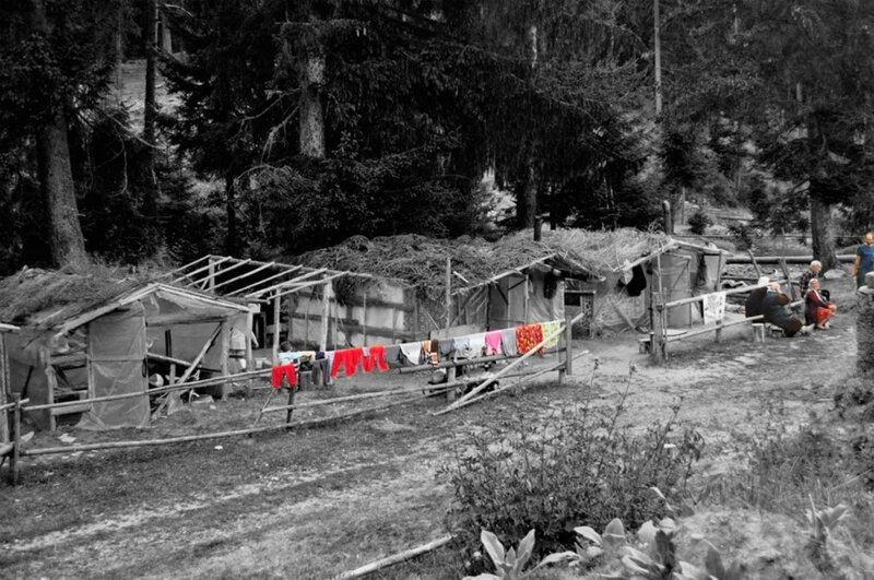 People in Forest Camp