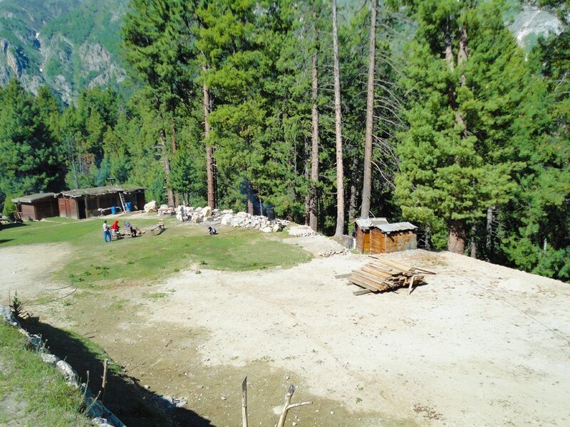 People in Forest Clearing