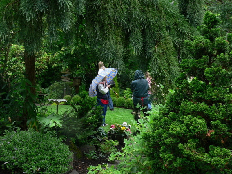 People in Garden — Green, Serene