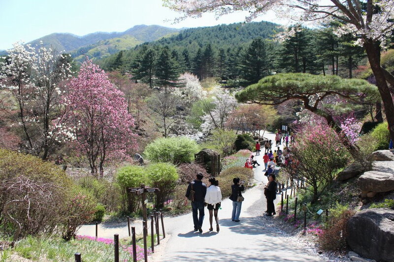 People in Garden — Green