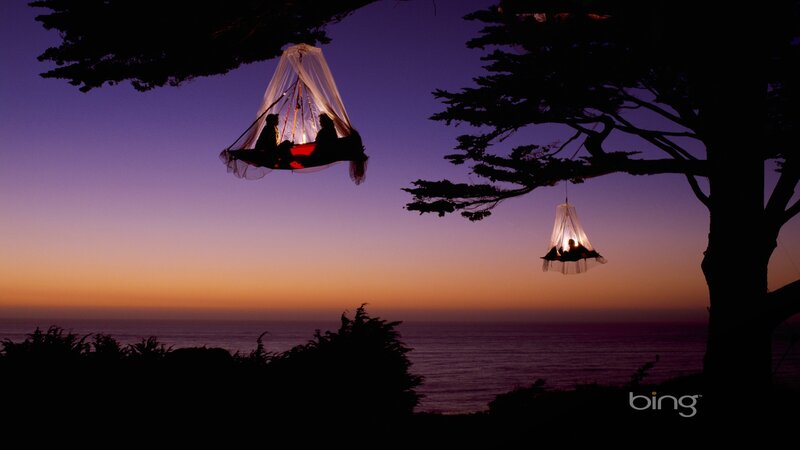 People in Hanging Hammocks — Purple