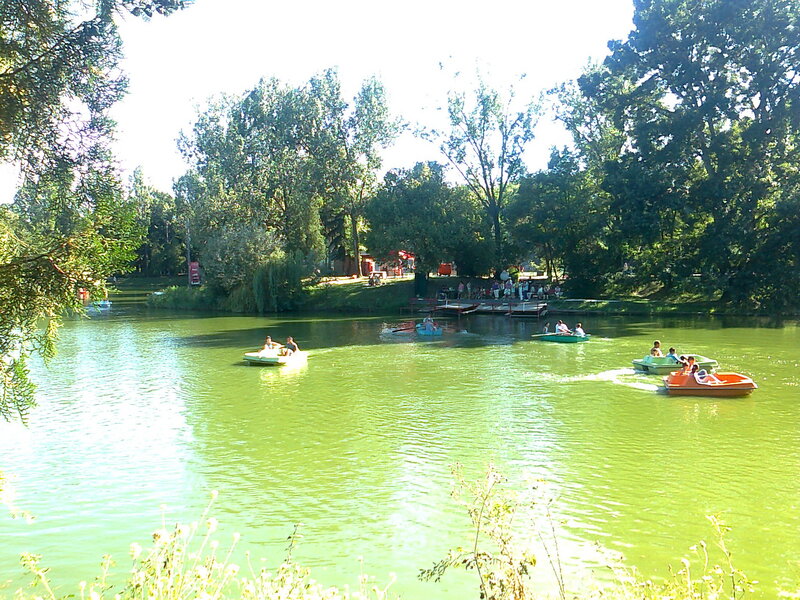 People in Paddle Boats