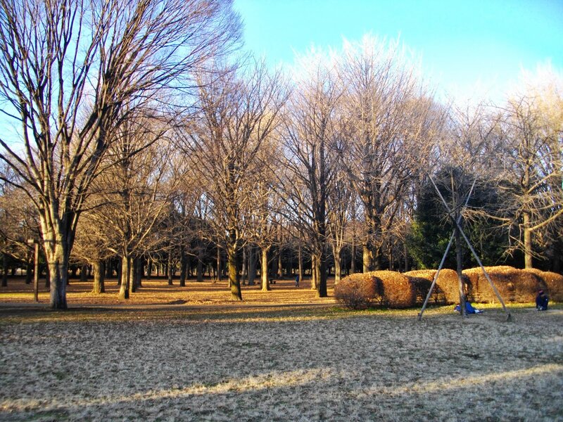 People in Park — Brown