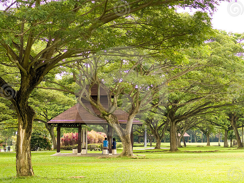 People in Park Gazebo