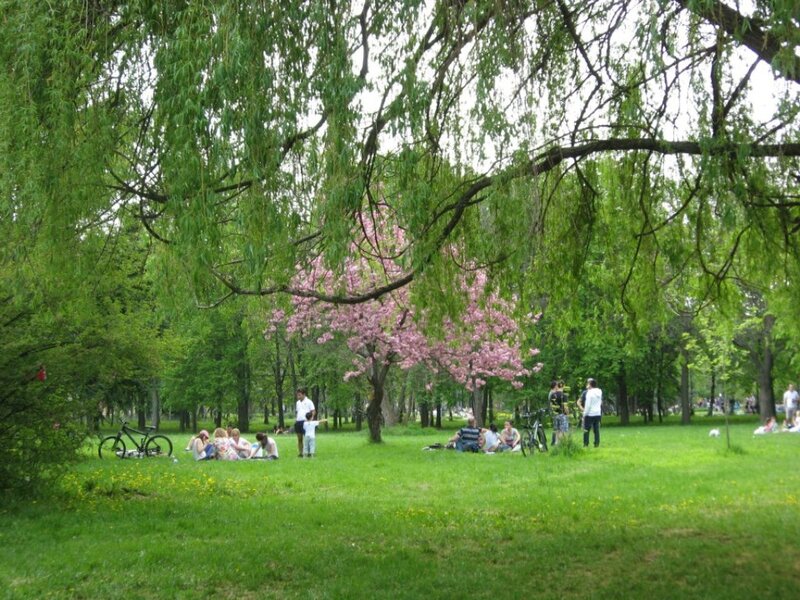People in Park — Green, Peaceful, Spring