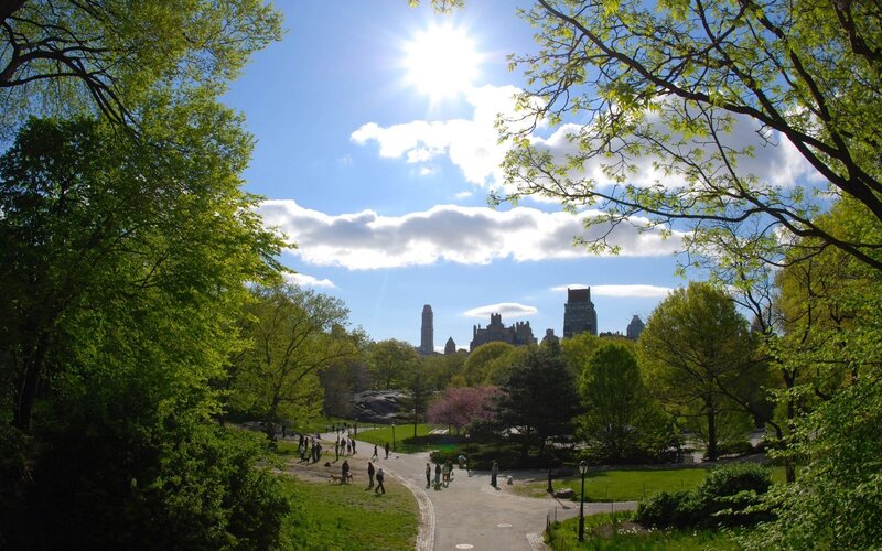 People in Park — Green, Serene, Afternoon, Photograph, Trees, Buildings, Path, Blue
