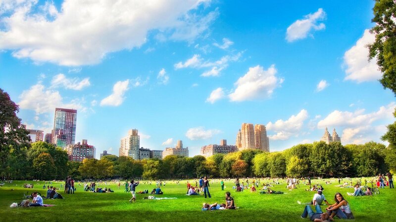 People in Park — Green, Serene, Afternoon