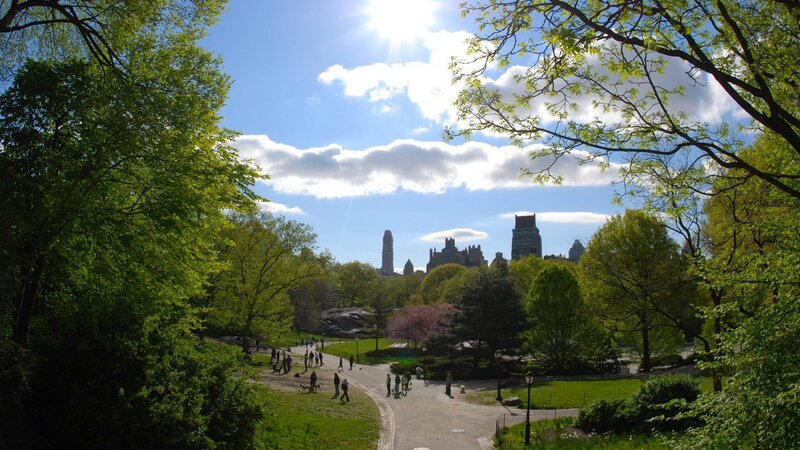 People in Park — Green, Serene, Spring, Photograph