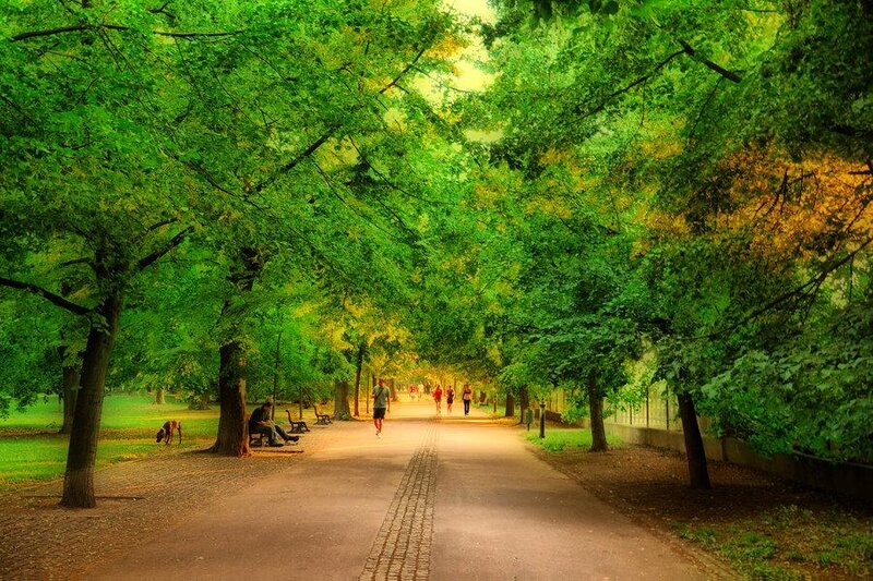 People in Park — Green, Serene