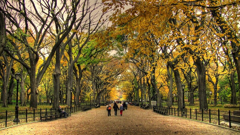 People in Park Pathway