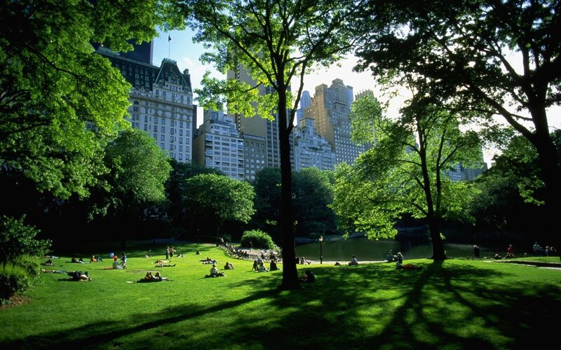 People in Park — Photograph