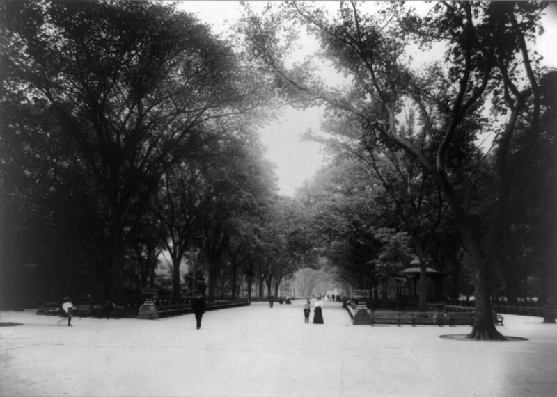 People in Park