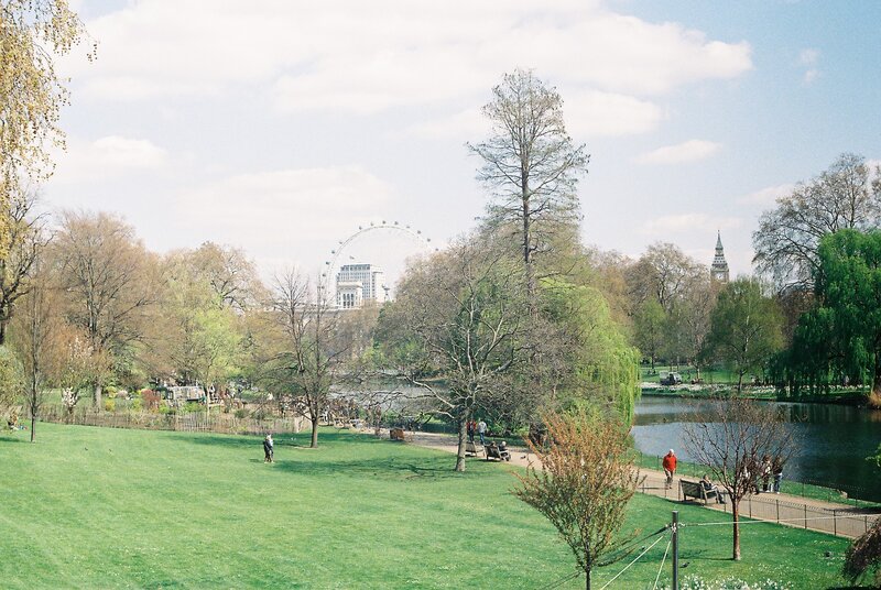 People in Park with Ferris Wheel