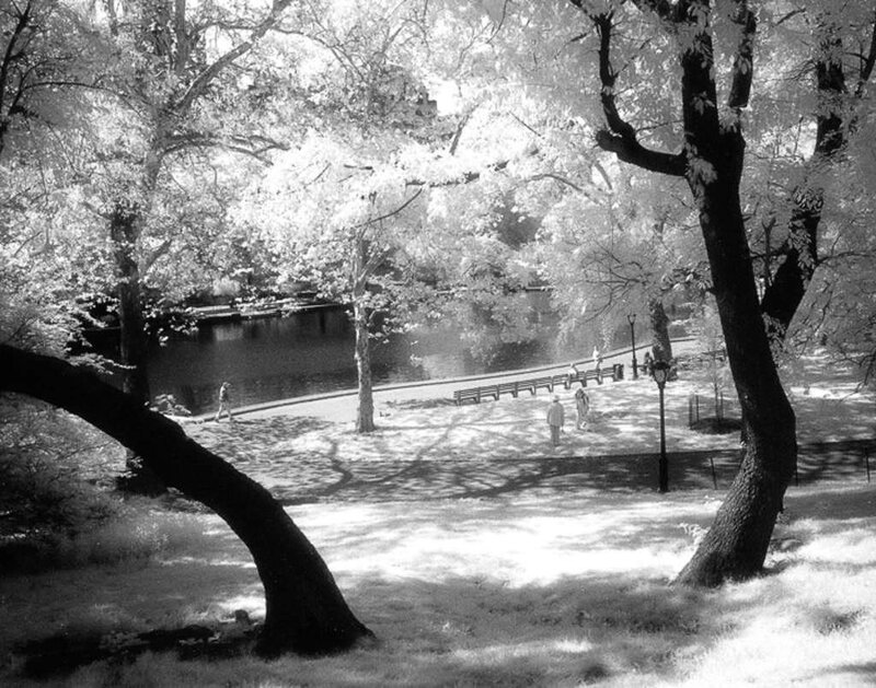 People in Park with Pond