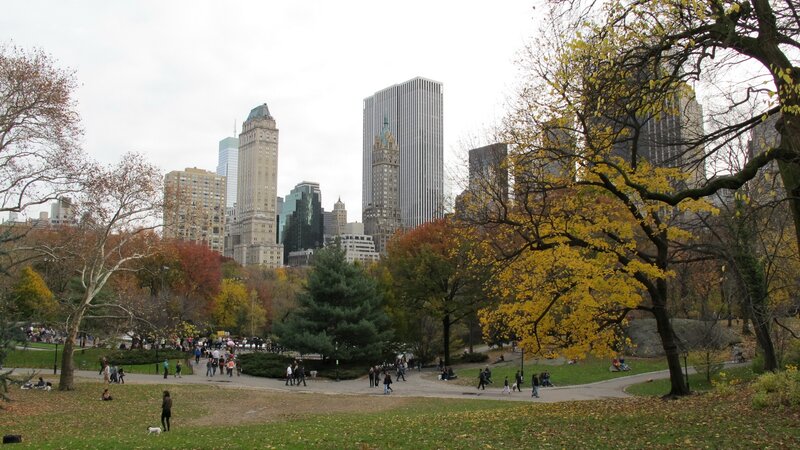 People in Park with Skyscrapers