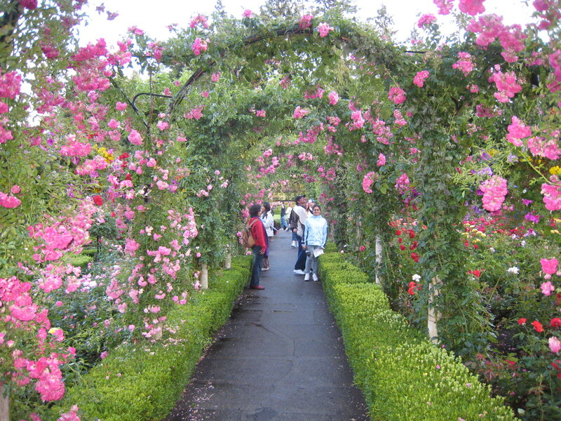 People in Rose Garden