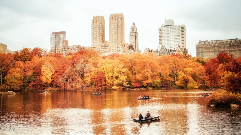 People in Rowboats — Orange, Serene