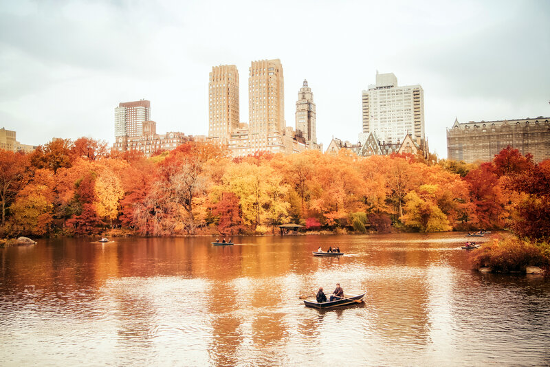 People in Rowboats — Orange