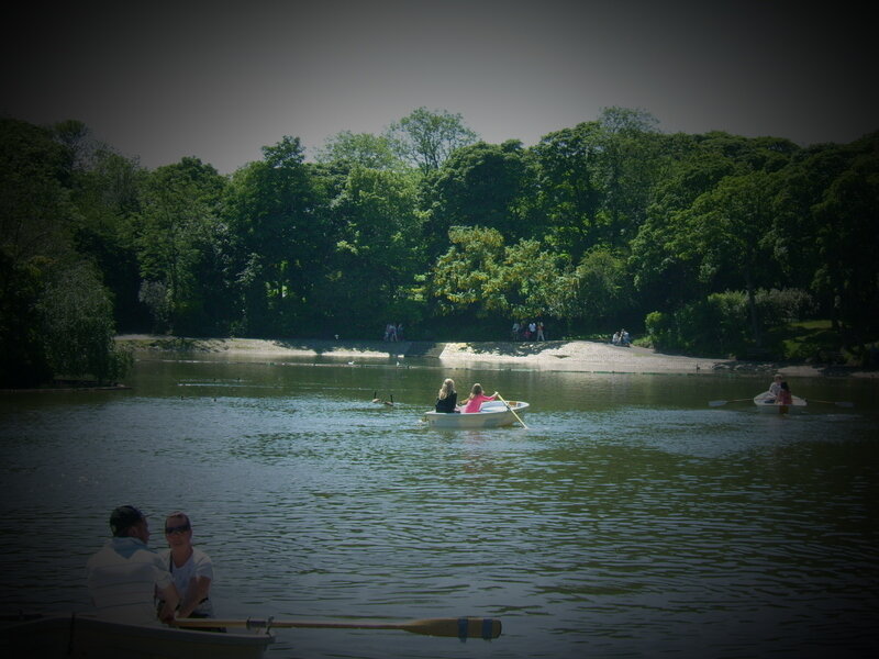 People in Rowboats