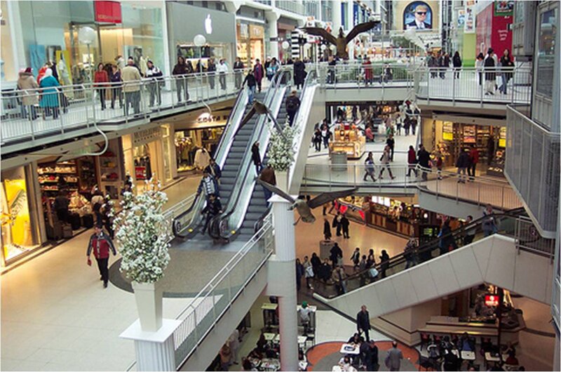 People in Shopping Mall