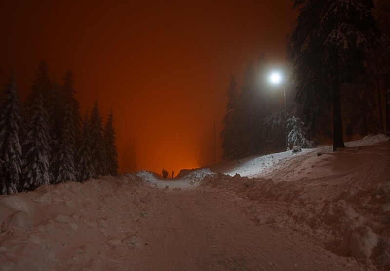 People in Snowy Forest — Orange