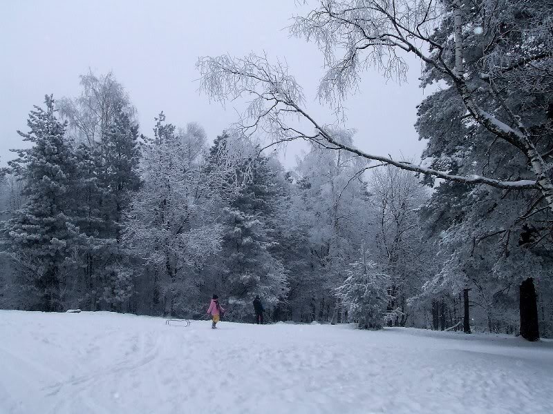 People in Snowy Forest