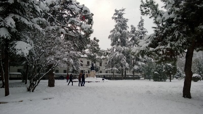 People in Snowy Park